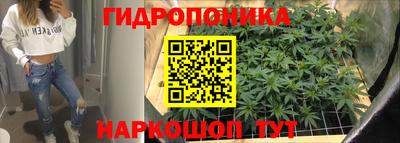 ГАЛЛЮЦИНОГЕННЫЕ ГРИБЫ Сланцы